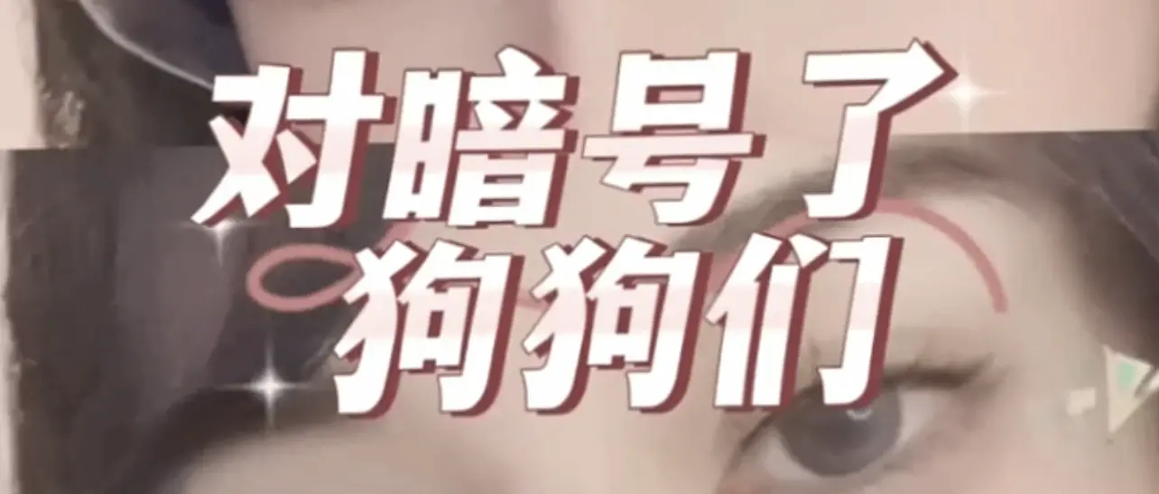 西檬之家如何设置安全词?字母圈实践中的关键指南 一