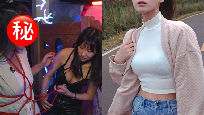 西檬之家DS关系核心解析 一