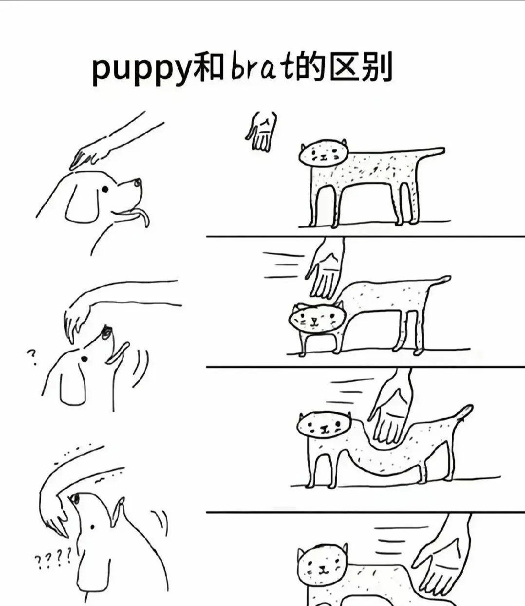 西檬之家BDSM安全词是什么意思? 一
