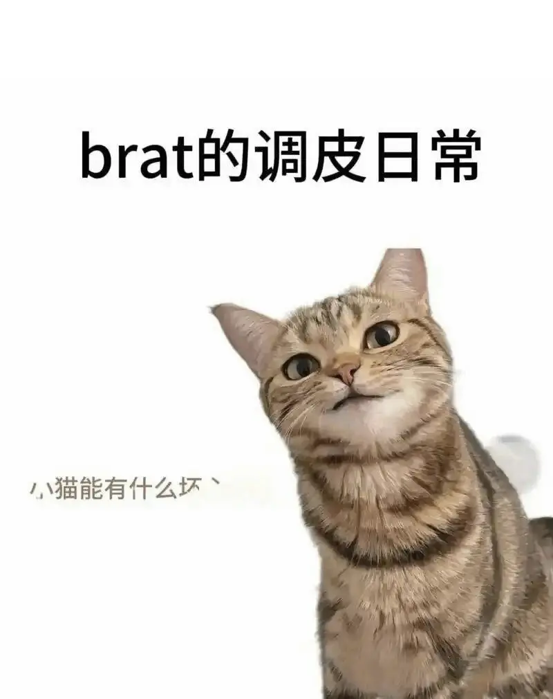 西檬之家sm亚文化入圈必读 一