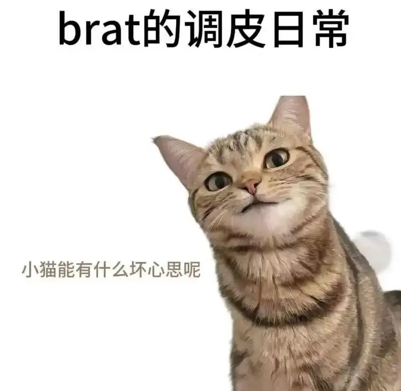 西檬之家字母圈的SUB是什么? 一