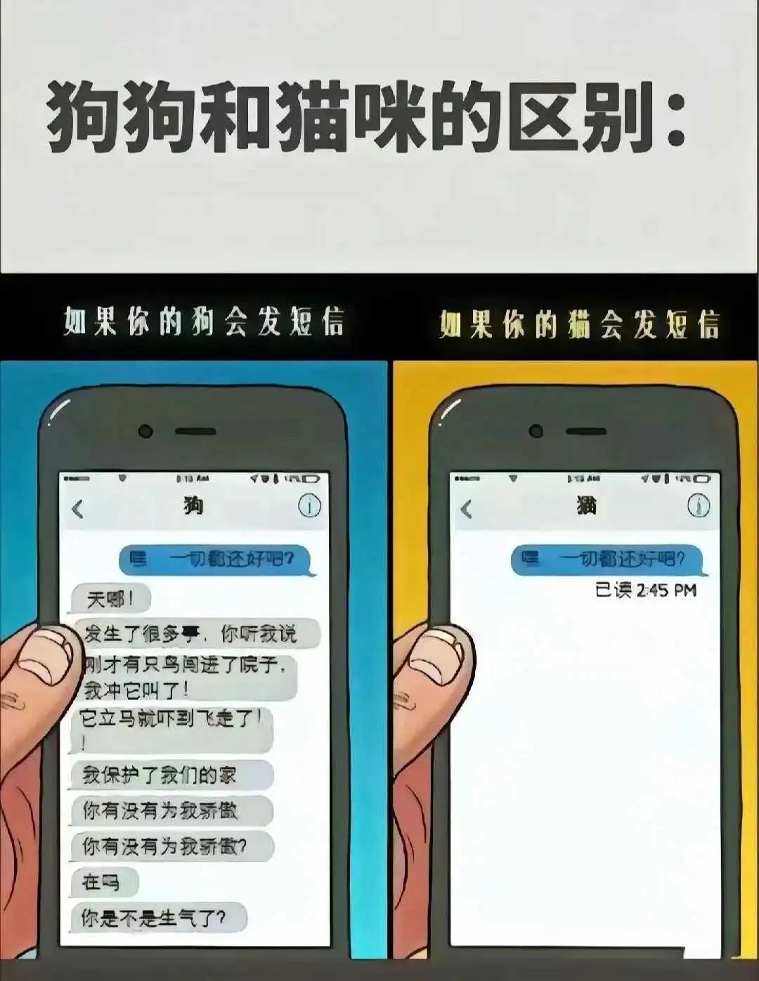 西檬之家什么是s属性?字母圈角色解析 一
