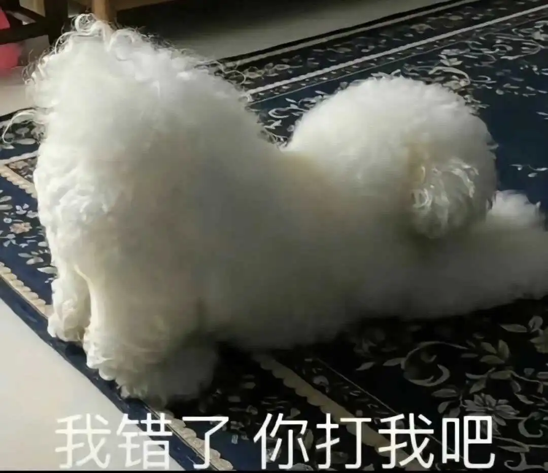 西檬之家TK是什么?字母圈挠痒痒玩法入门 一