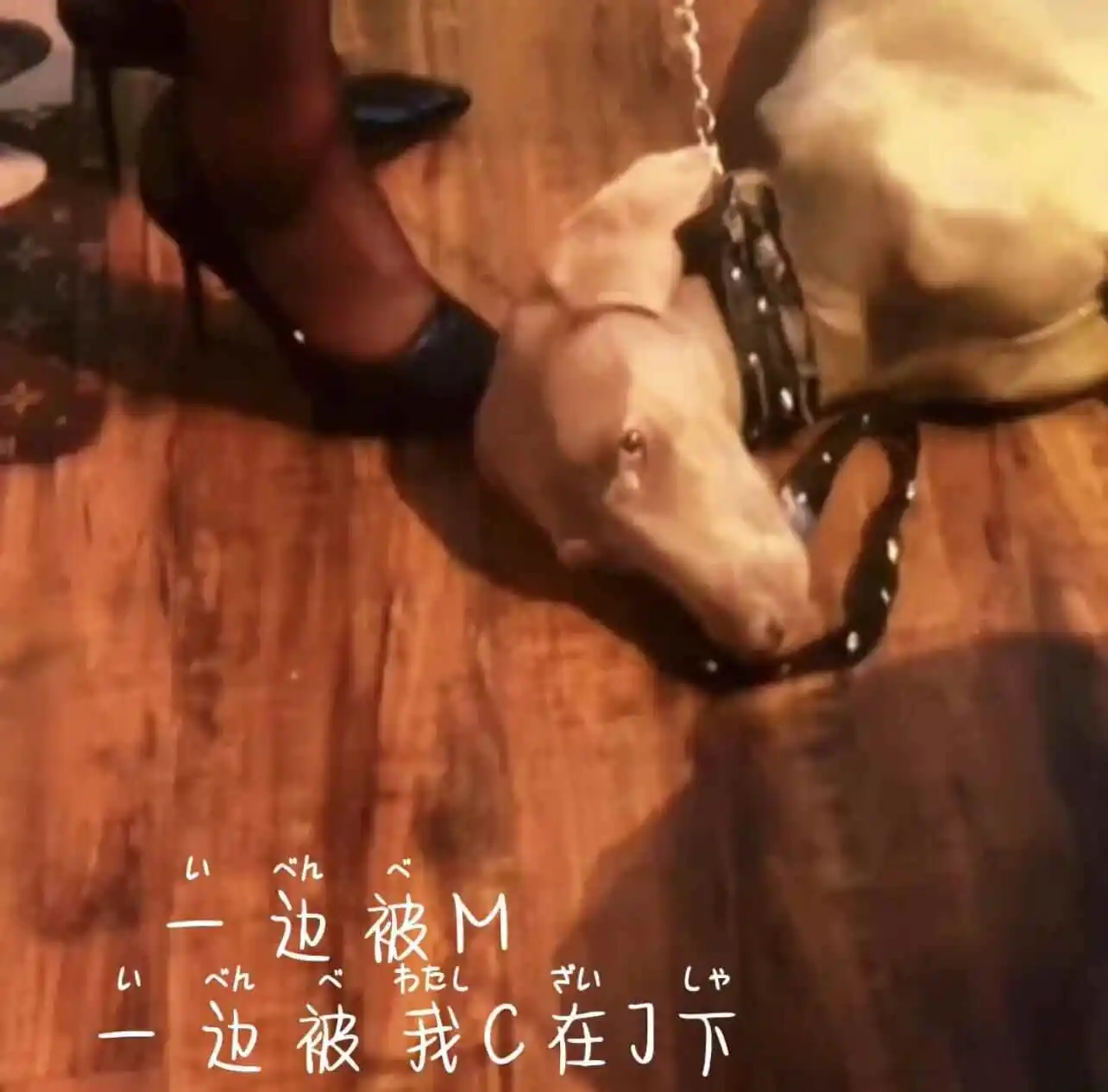 西檬之家斯慕圈新人入坑指南 一