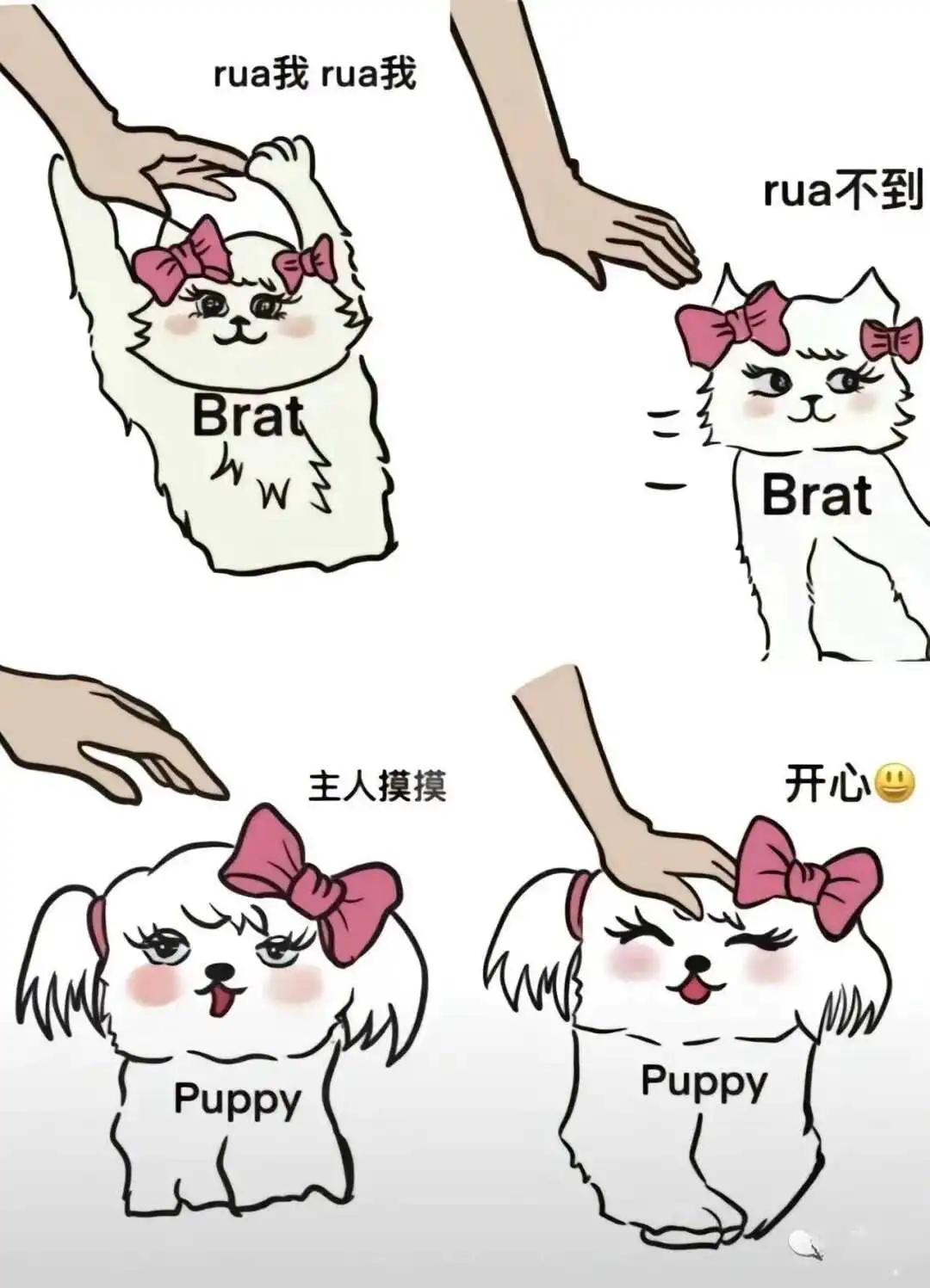 西檬之家k8是什么?揭秘字母圈中的猫系属性与边界 一